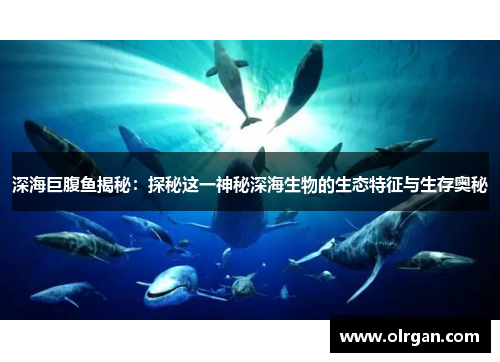 深海巨腹鱼揭秘：探秘这一神秘深海生物的生态特征与生存奥秘